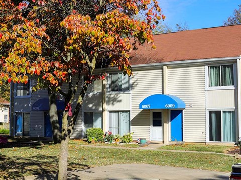 A tree with orange leaves is in front of a building with the number 6009 on it.