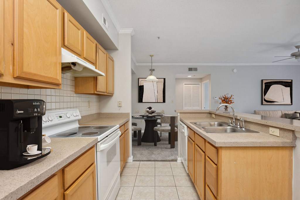 The Preserve at Westchase Model Kitchen