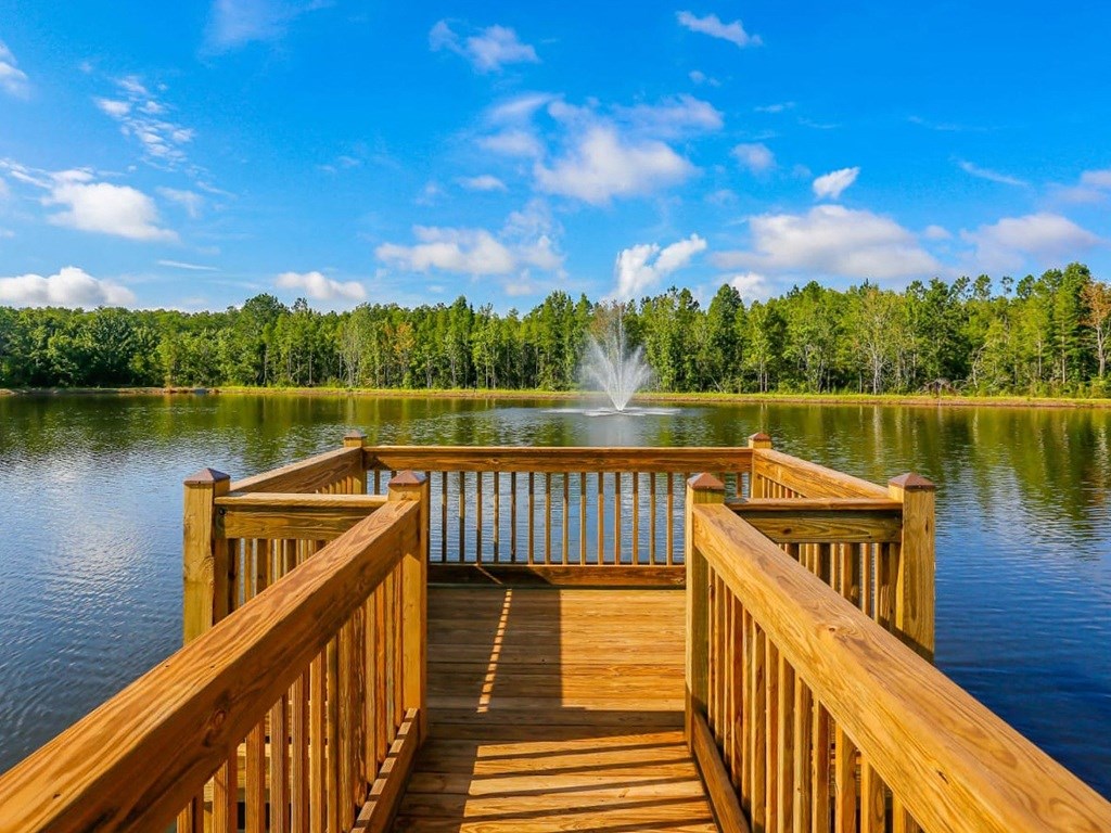 Oasis At Shingle Creek