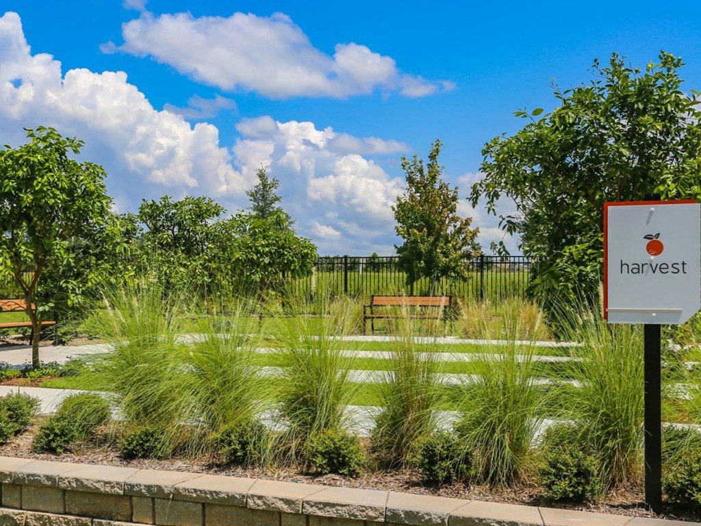 Oasis At Shingle Creek