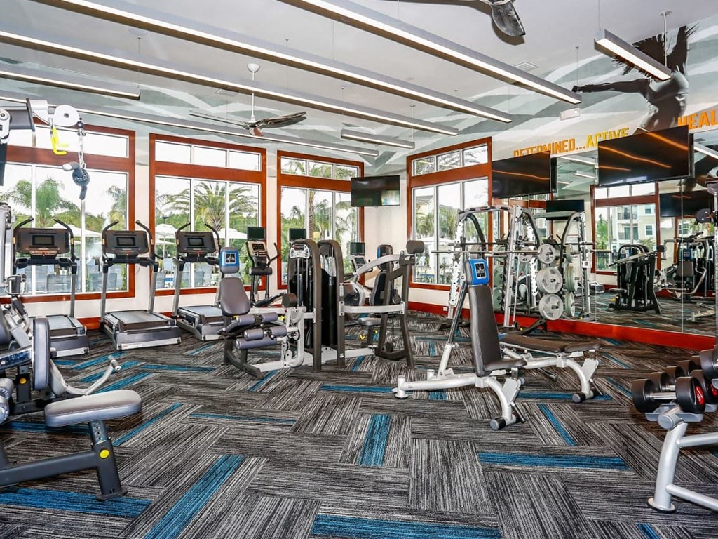 Oasis At Shingle Creek