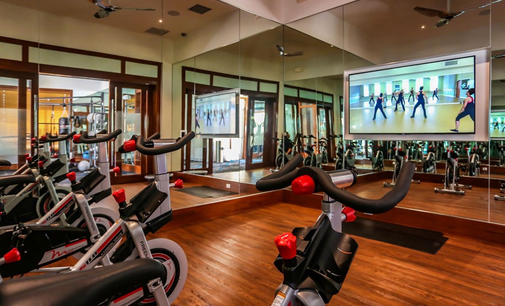 Oasis At Shingle Creek