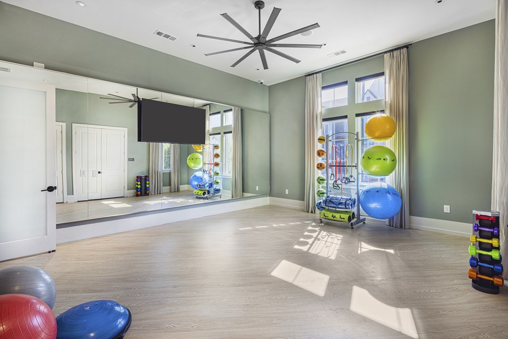 A room with a mirror, a television, and exercise balls at Folksong Apartments, Flowery Branch