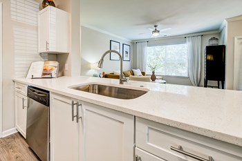 Double Stainless Steel Sink at Centerview at Crossroads, North Carolina, 27606 - Photo Gallery 23