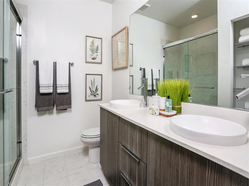 Oasis At Shingle Creek