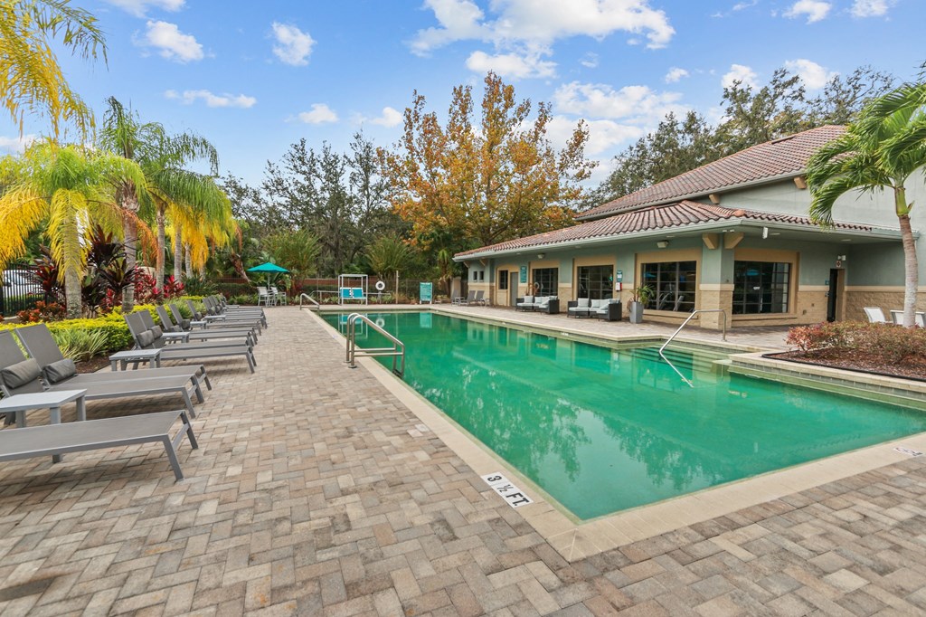 pool with lounge seating pool with lounge seating at The Preserve at Westchase, Tampa, 33626