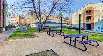 Picnic Area Property Image
