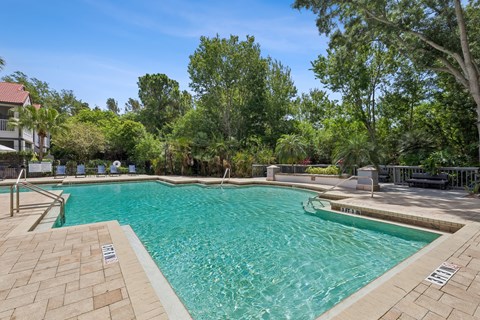 A swimming pool surrounded by trees and a clear blue sky.