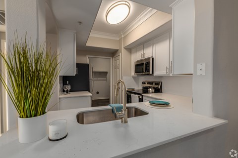 A modern kitchen with a sink and a plant.
