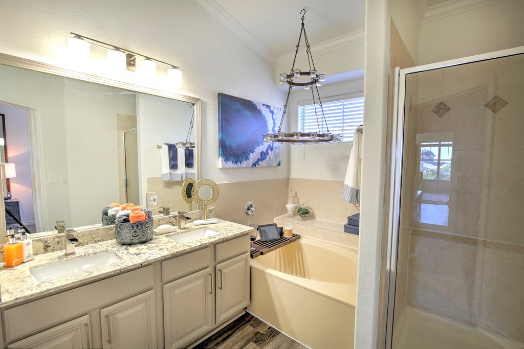 Designer bathroom at Landing at Round Rock, Round Rock, Texas