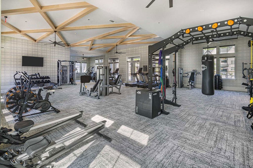 A gym with a variety of equipment including a rowing machine, treadmill, and weight machines.