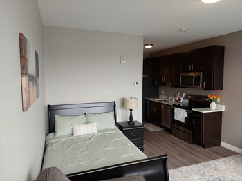 304 Snelling Ave North Studio-2 Beds Apartment, Loft for Rent - Photo Gallery 4