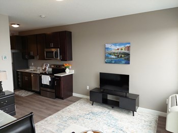 304 Snelling Ave North Studio-2 Beds Apartment, Loft for Rent - Photo Gallery 3
