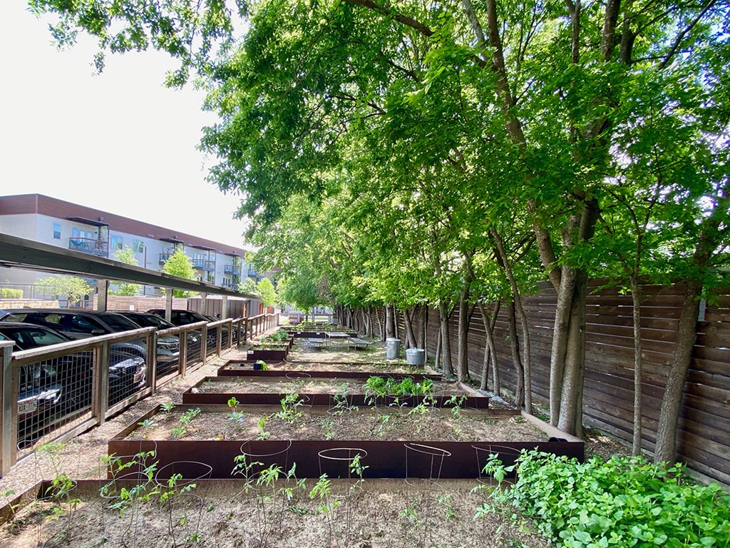 Thornton Flats - Community Garden