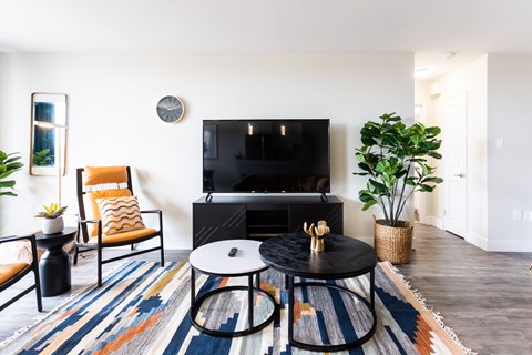A living room with a black TV and a striped rug.