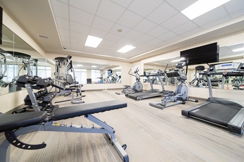 A gym with treadmills, elliptical machines, and other cardio equipment.
