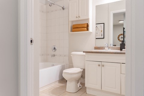 a bathroom with a toilet and a tub and a sink