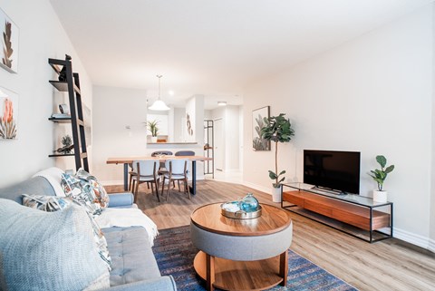 A living room with a grey couch, a wooden coffee table, a television, and a dining table with chairs.