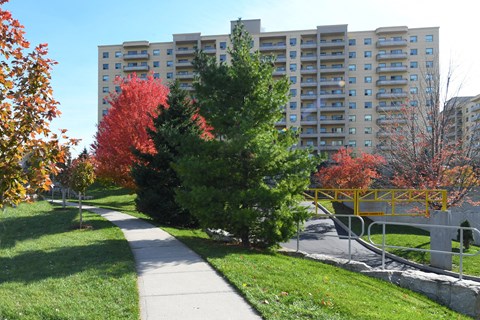 a sidewalk winding through a park with trees and tall buildings