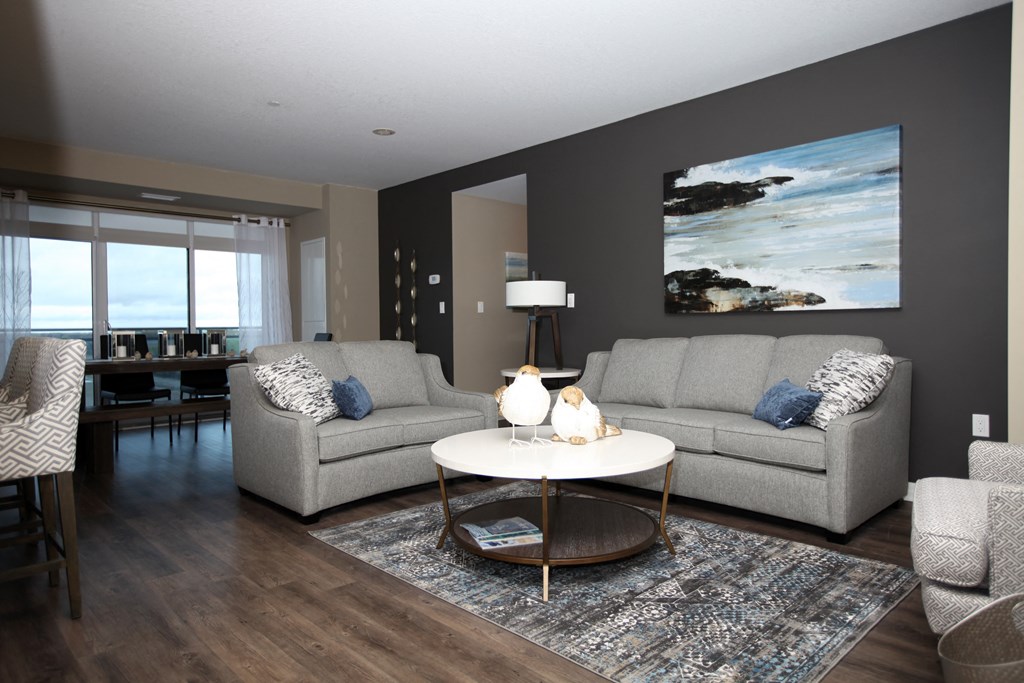 a living room with two couches and a coffee table