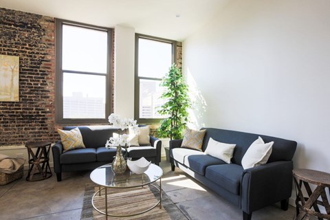 A living room with a couch, coffee table, and a plant.