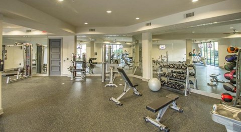 a gym with a lot of weights and exercise equipment