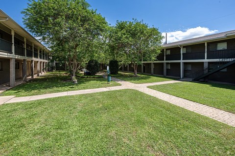 A grassy courtyard with trees and apartment buildings in the background.