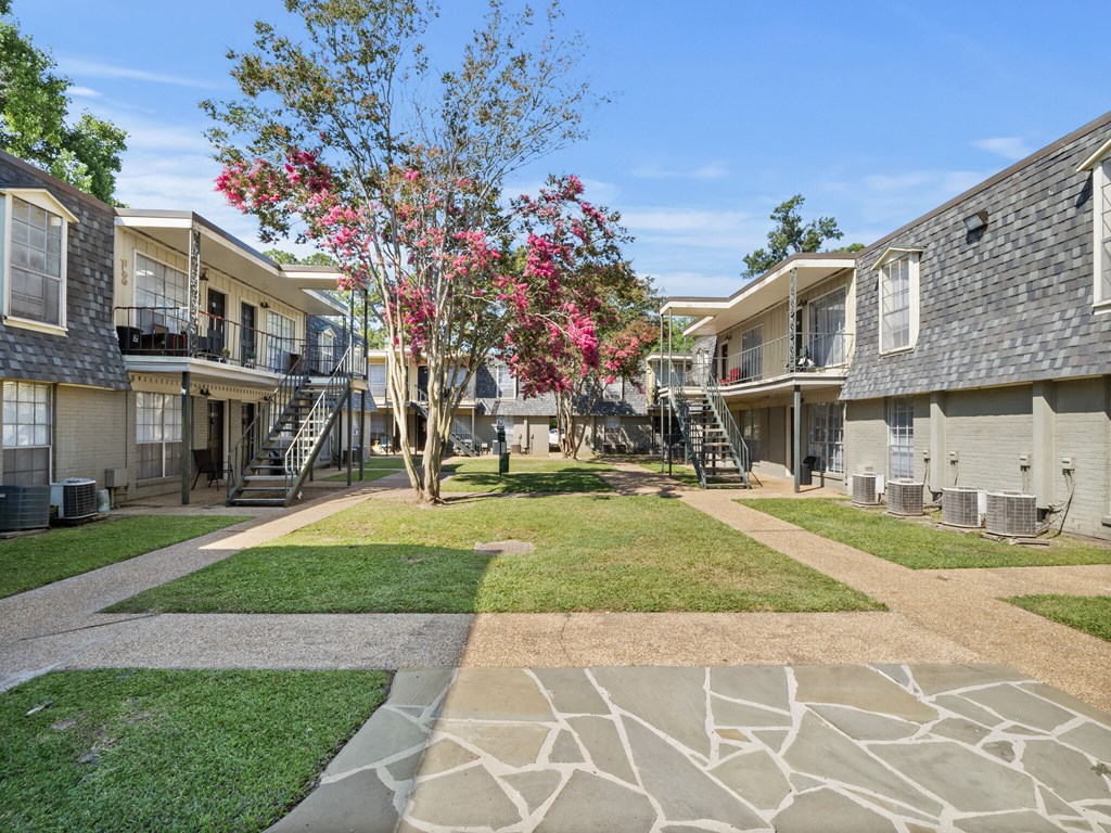 A tree with pink flowers is in the middle of a courtyard with a stone walkway.