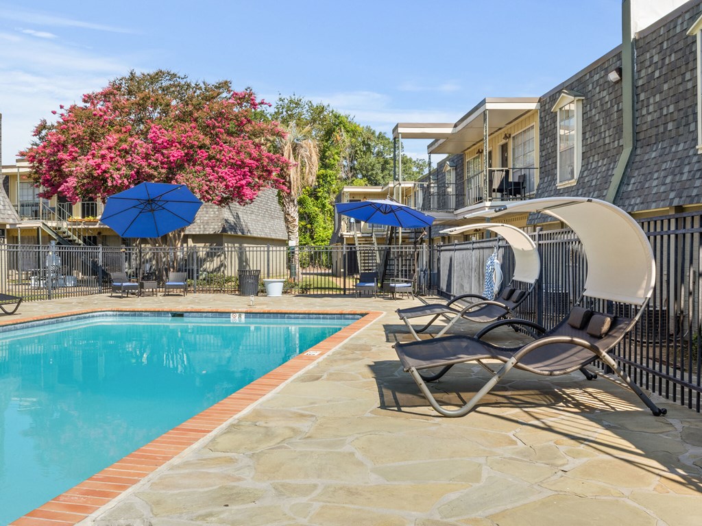 A pool surrounded by chairs and umbrellas with a tree in the background.
