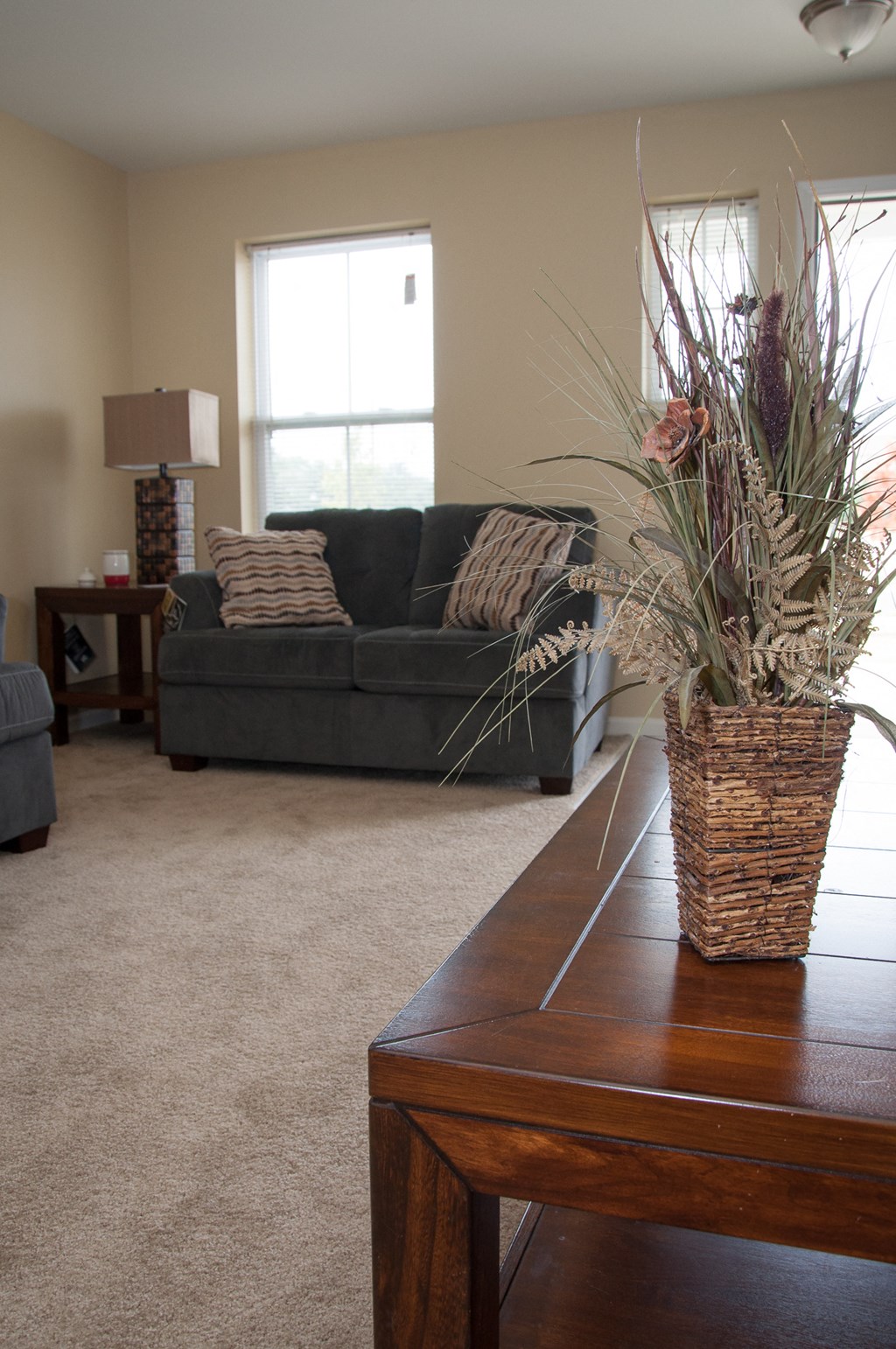 a living room with a couch and a coffee table