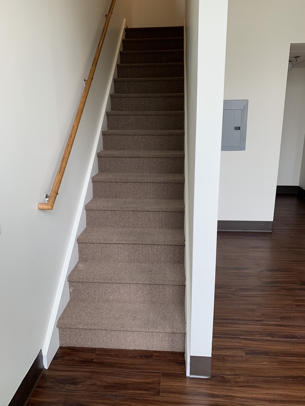 a view of the stairs from the bottom of a staircase with carpet and wood floors
