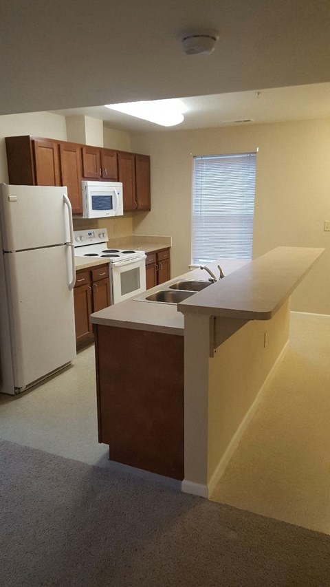 an empty kitchen with a refrigerator and a sink