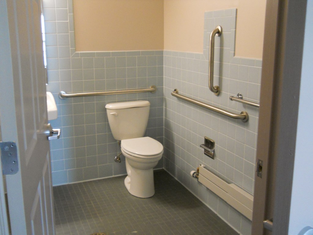 a bathroom with a toilet and handicap bars on the wall