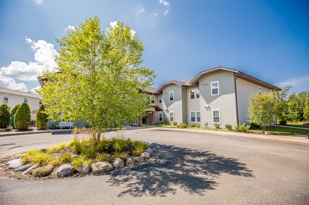an empty parking lot with a tree in front of a building