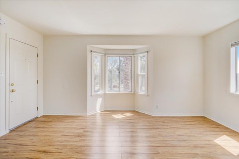 A room with a white door and a window with a view of trees.