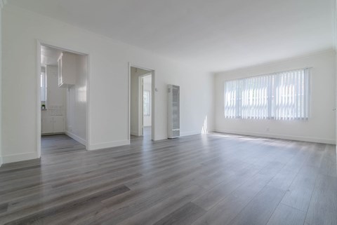 Living area with 3 large windows and view