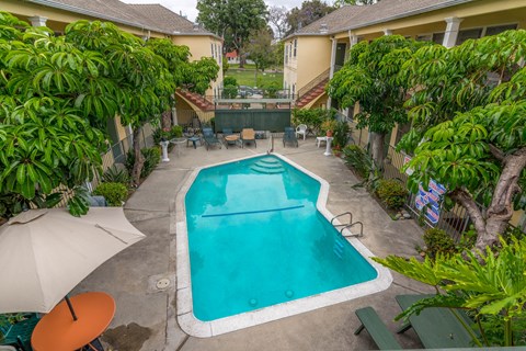 A small pool surrounded by green plants and trees.