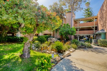 Garden area - Photo Gallery 5