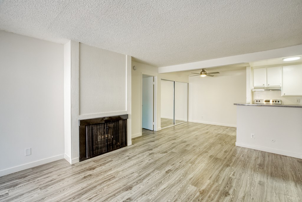 Living room and fireplace
