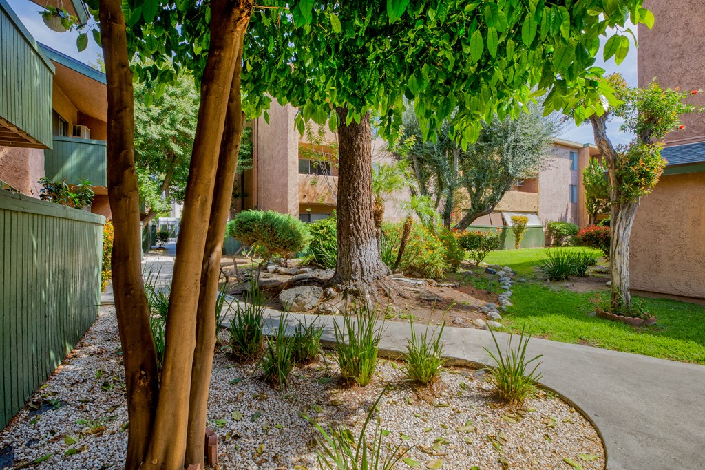 Walkway with trees and plant view