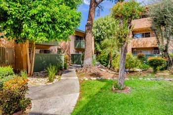 View of big trees in the garden area - Photo Gallery 14