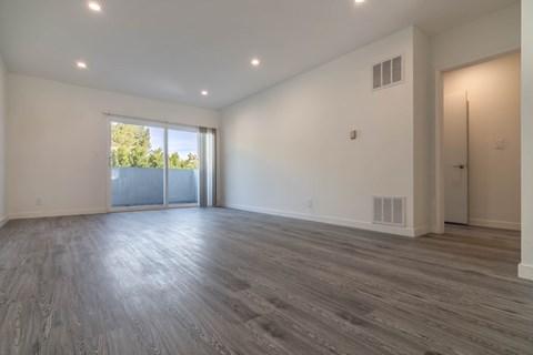 Living room and balcony