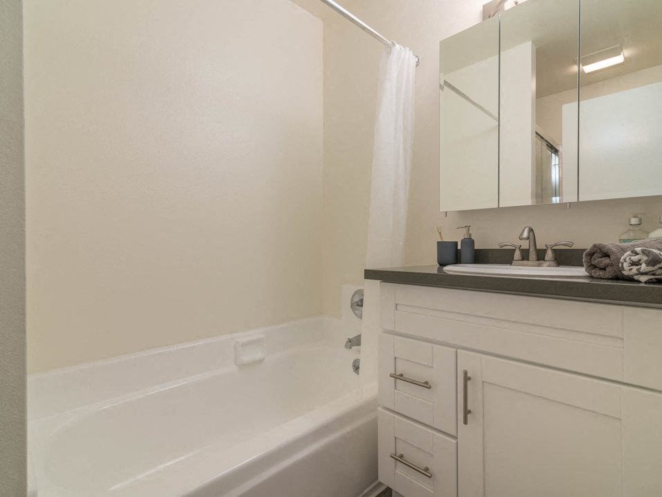 bathroom tub and vanity