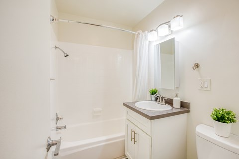 A white bathroom with a sink, mirror, and bathtub.