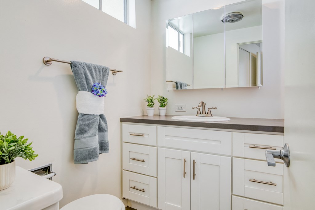 master bath and vanities