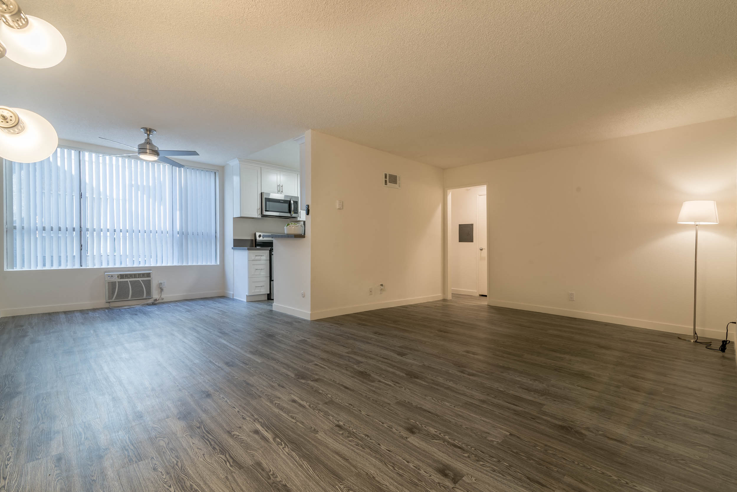 Living room and dining area