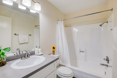 A bathroom with a white toilet, sink, and shower.