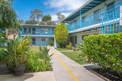 Walkway in the garden area