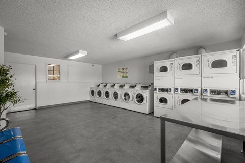 Rows of washers and dryers for lau