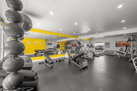 A gym with a variety of exercise equipment including treadmills, weights, and exercise balls.